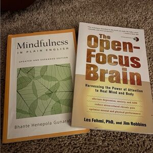 The Open Focus Brain and Mindfulness Books